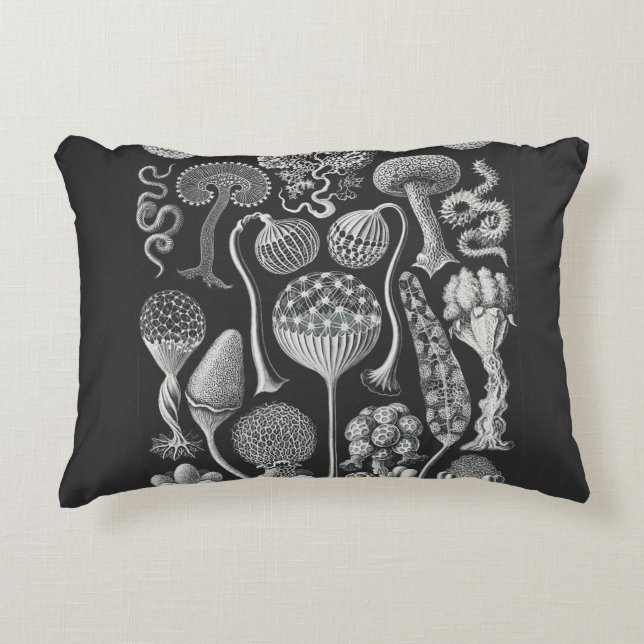  Art forms of nature  Decorative Cushion (Front)