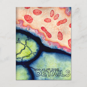 art is in the details. postcard