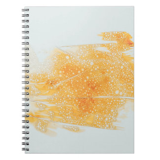Art Notebook