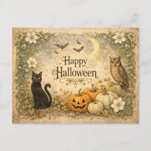 Art Nouveau Black Cat Owl Halloween Holiday Postcard