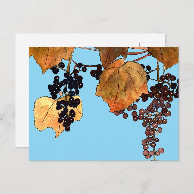 Art Nouveau Frost Grapes Postcard (Front/Back)