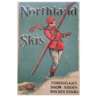 Art Nouveau Poster 24 Ski Decoupage Tissue Paper