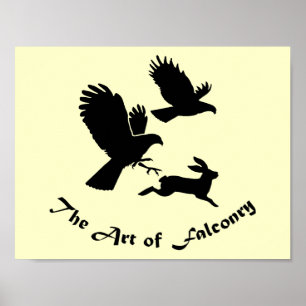 Art of Falconry - Harris Hawks Poster