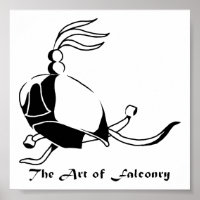 Art of Falconry - Hood