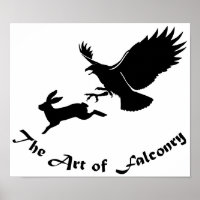 Art of Falconry - Red Tail Hawk