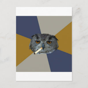 Art Student Owl Advice Animal Meme Postcard
