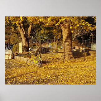 Art Through Lens Poster