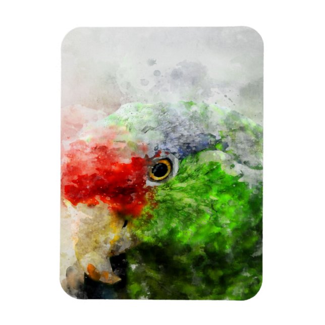 Art Watercolor Parrot Green Parakeet Gift Magnet (Vertical)