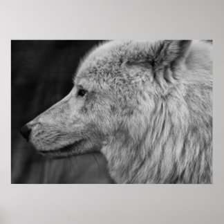 Artc Wolf Poster