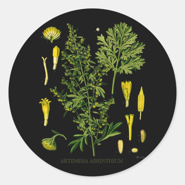 Artemesia Absinthium Classic Round Sticker (Front)