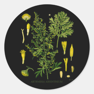 Artemesia Absinthium Classic Round Sticker