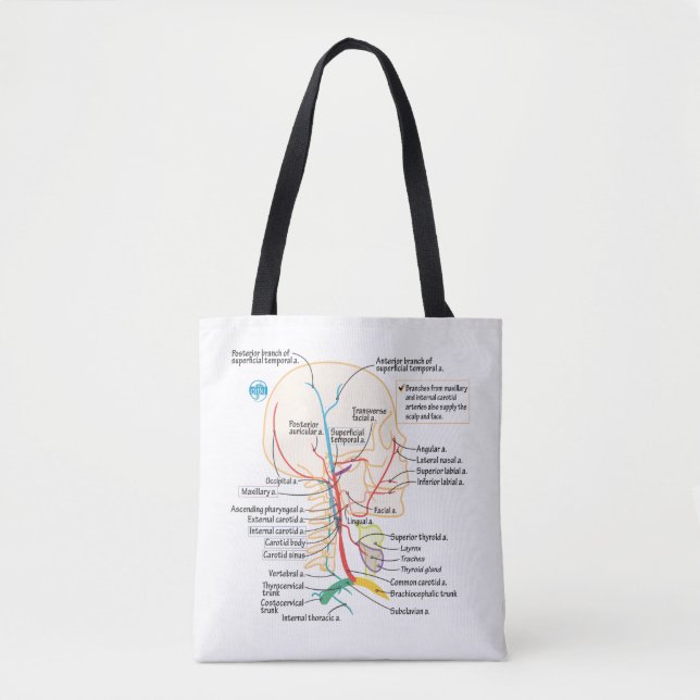 Arteries of the Head & Neck Tote (Front)