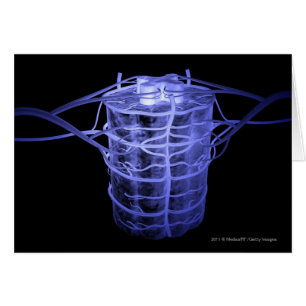 Arteries surrounding part of the spinal column