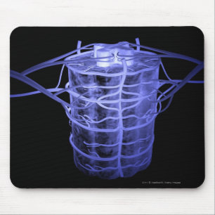 Arteries surrounding part of the spinal column mouse pad