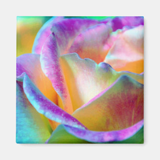 Artful Colourful Rose Square Magnet