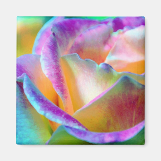 Artful Colourful Rose Square Magnet (Front)