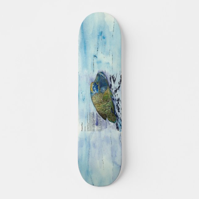 Artful Hand Painted Endangered Wrasse Skateboard (Front)