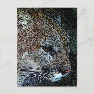Artful Nature Cougar Postcard