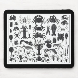 Arthropoda: spiders, crabs, lobsters B&W pattern Mouse Pad