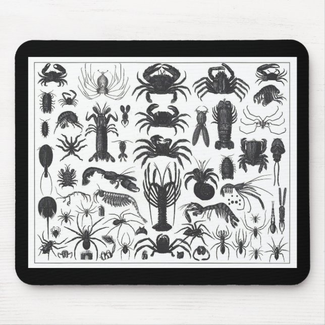 Arthropoda: spiders, crabs, lobsters B&W pattern Mouse Pad (Front)
