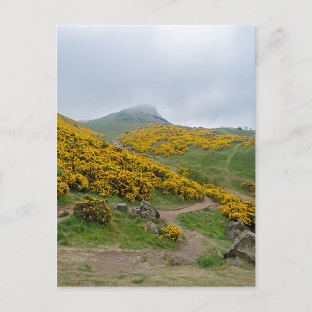 Arthur's Seat Edinburgh, Scotland Postcard (Front)