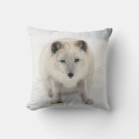 Artic Fox