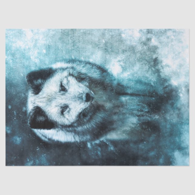 Artic Fox Wildlife Watercolor Tissue Paper (Front)