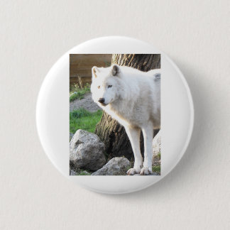 ARTIC WOLF 6 CM ROUND BADGE