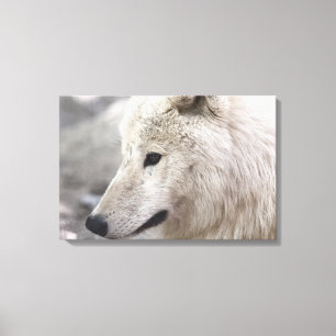 Artic Wolf Lovers Canvas Print