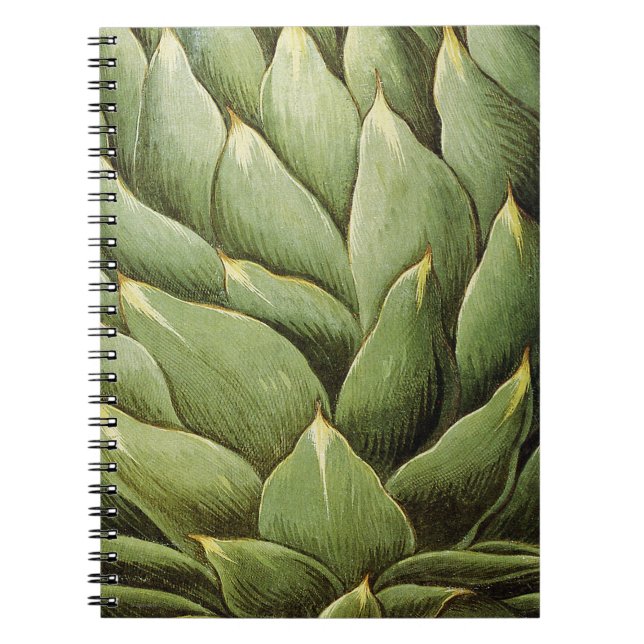 Artichoke, 1613 spiral notebook (Front)