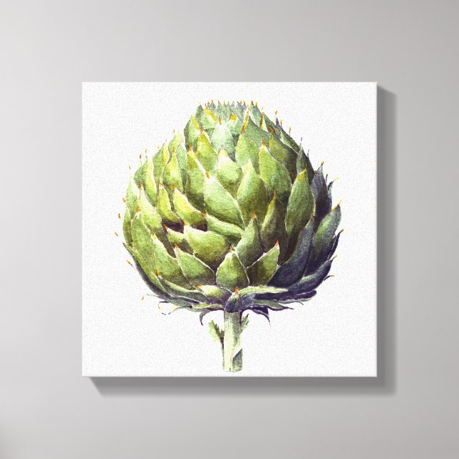 Artichoke botanical watercolour canvas print (Front)