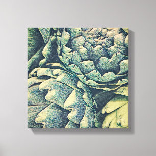 Artichoke canvas print