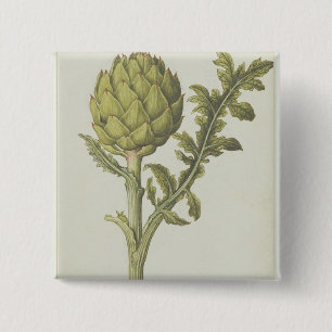 Artichoke: Cynara scolymus, c.1568 15 Cm Square Badge