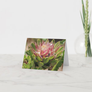 Artichoke Flower Photo Folded Note Card