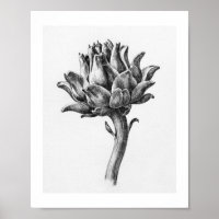 Artichoke II by Jean Bernard (1775-1883).