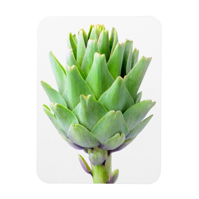 Artichoke Magnet (Vertical)