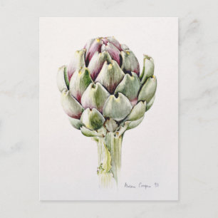 Artichoke Study 1993 Postcard