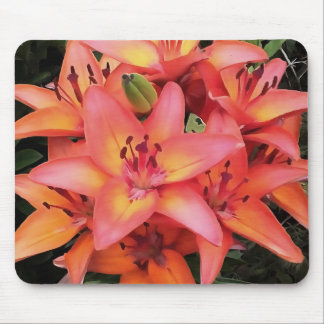 Artisitc Coral Coloured Garden Lilies Mouse Pad