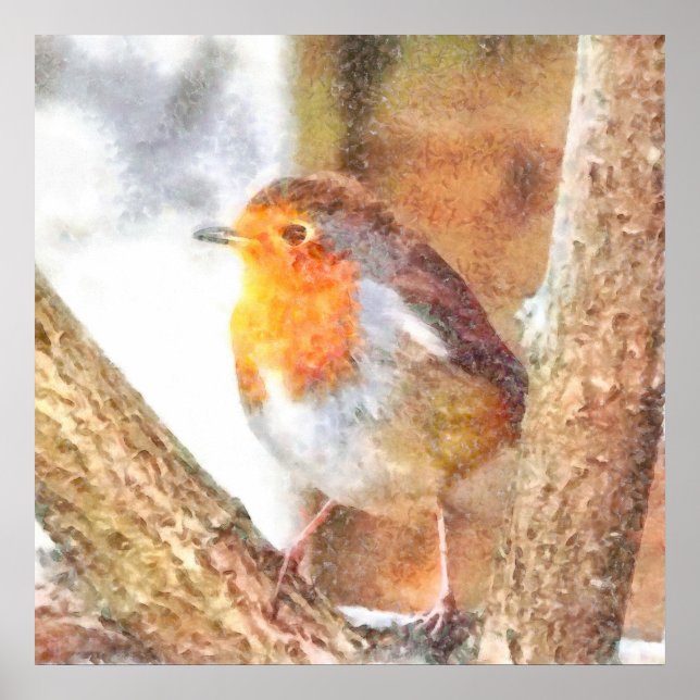 Artisitc Robin Redbreast Watercolor Poster (Front)