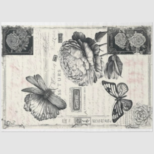 Artist Black White Large Vintage Peony Background Tissue Paper