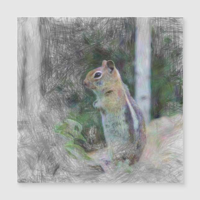 artistic animal chipmunk 1 (Front)