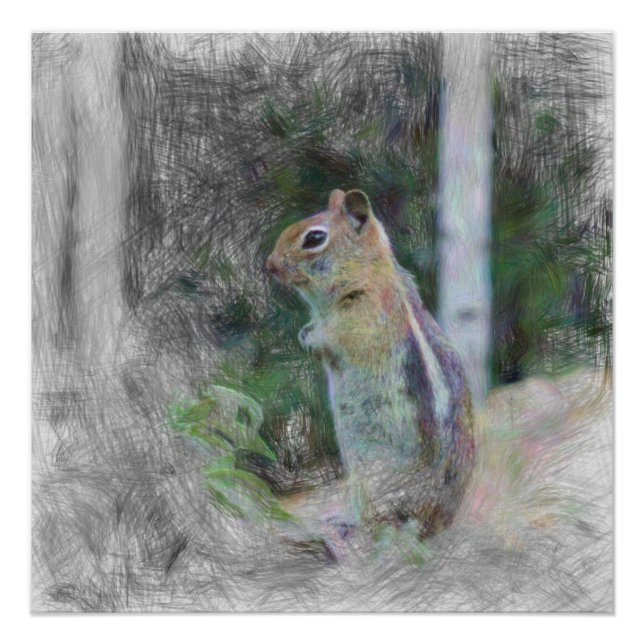 artistic animal chipmunk 1 poster (Front)