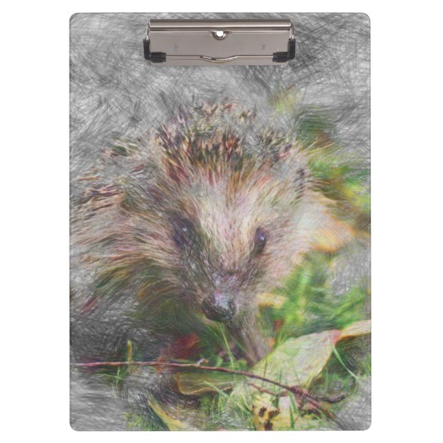 artistic animal hedgehog clipboard (Front)