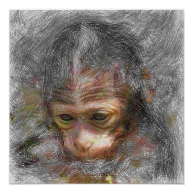 artistic animal monkey baby poster (Front)