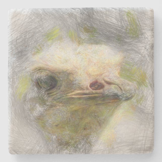 artistic animal ostrich stone coaster (Front)