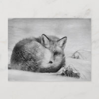 *~* Artistic Animal Red Fox Ap18  Artsy Wildlife