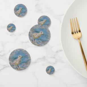 artistic animal small bird confetti
