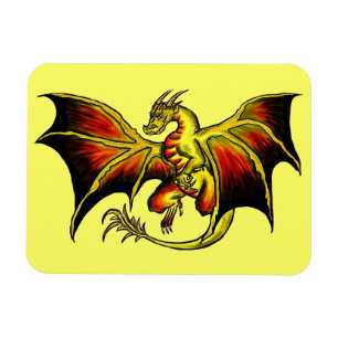 Artistic attitude colourful dragon rectangle magne magnet