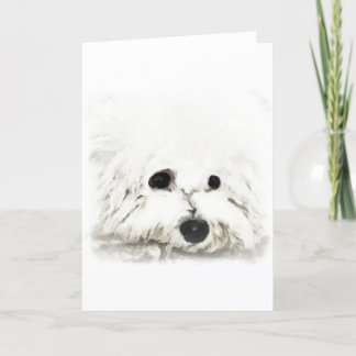 Artistic Bichon head aquarelle Card