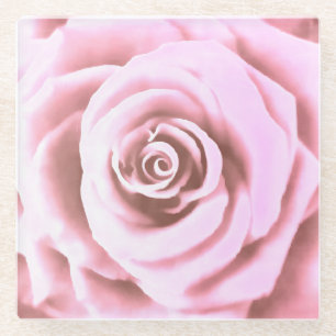 Artistic Big Pale Pink Rose Glass Coaster